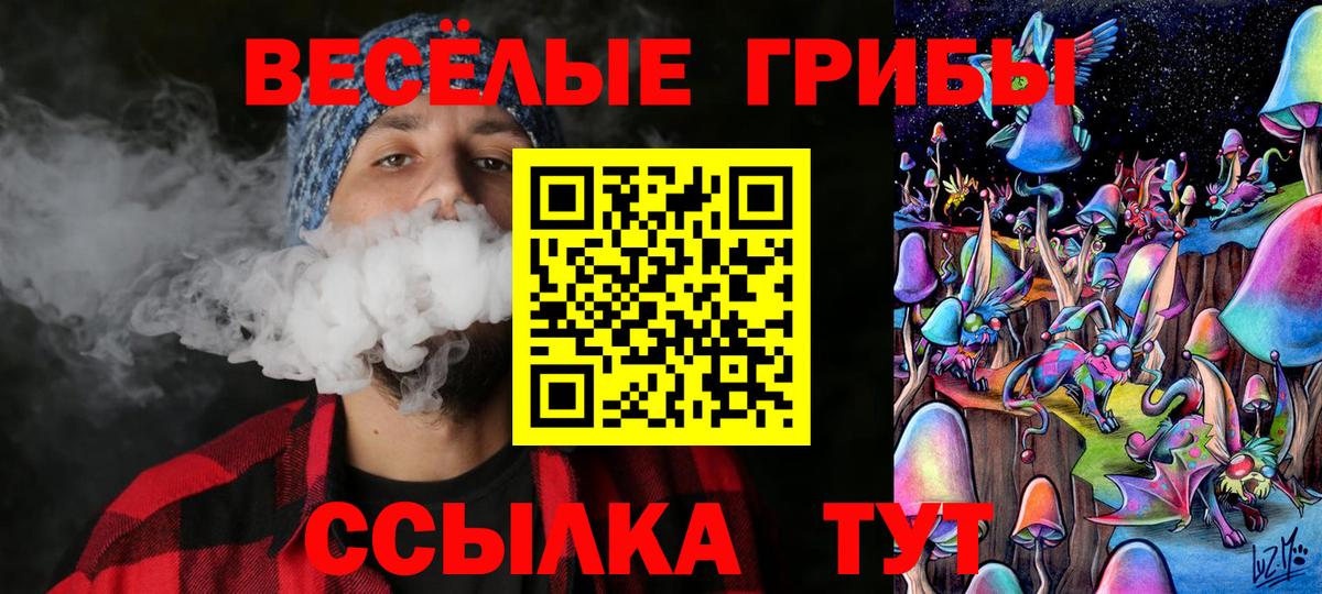 Галлюциногенные грибы GOLDEN TEACHER Дубна